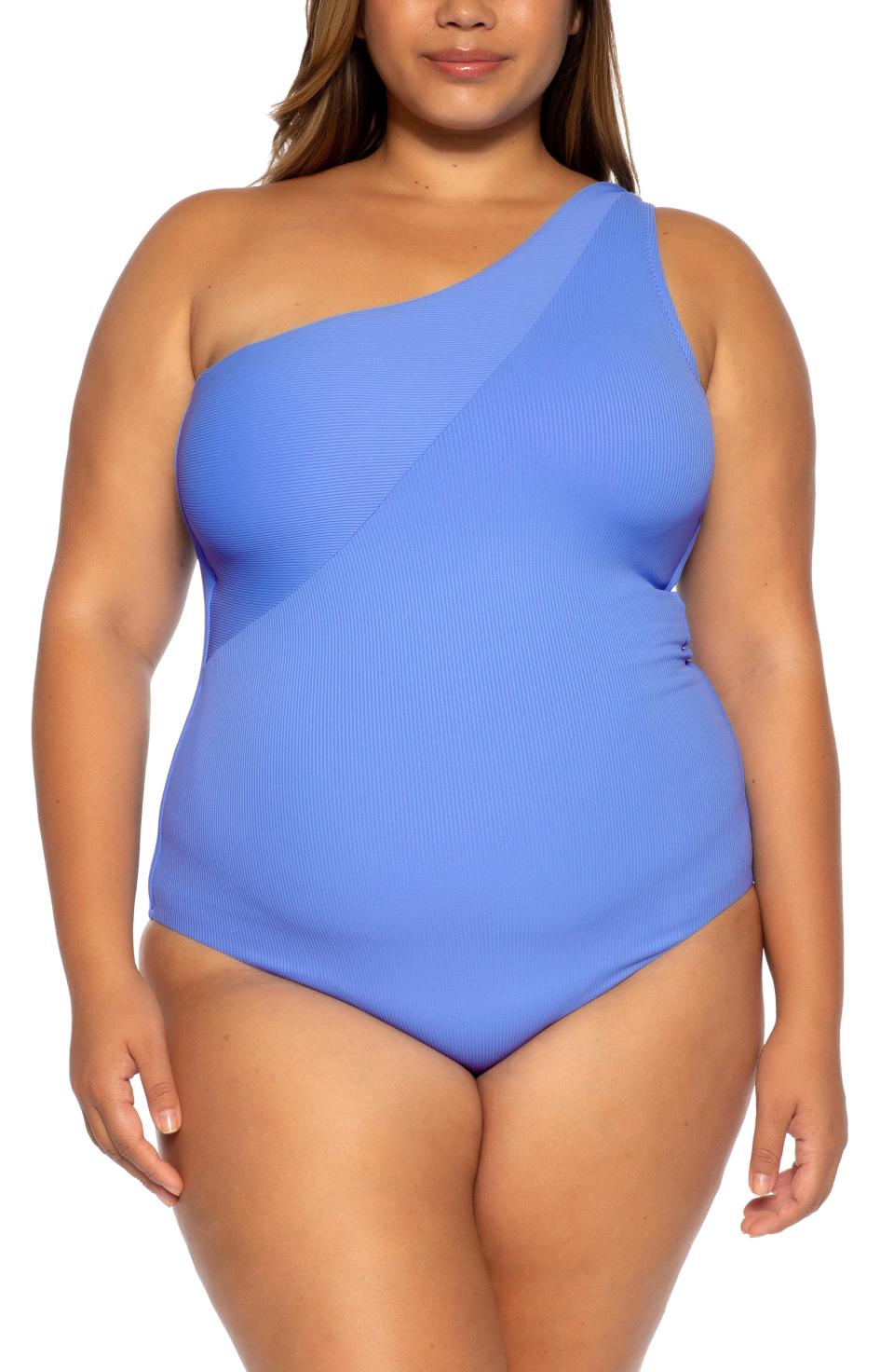 Fine Line One-Piece Swimsuit