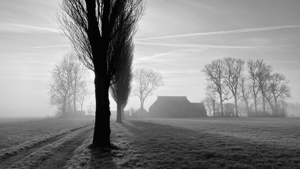 This eerie shot, called "Early Morning Farm," was shot on an iPhone 12 Pro by Ton Ensing in the Netherlands. It came in first place in the landscape category.