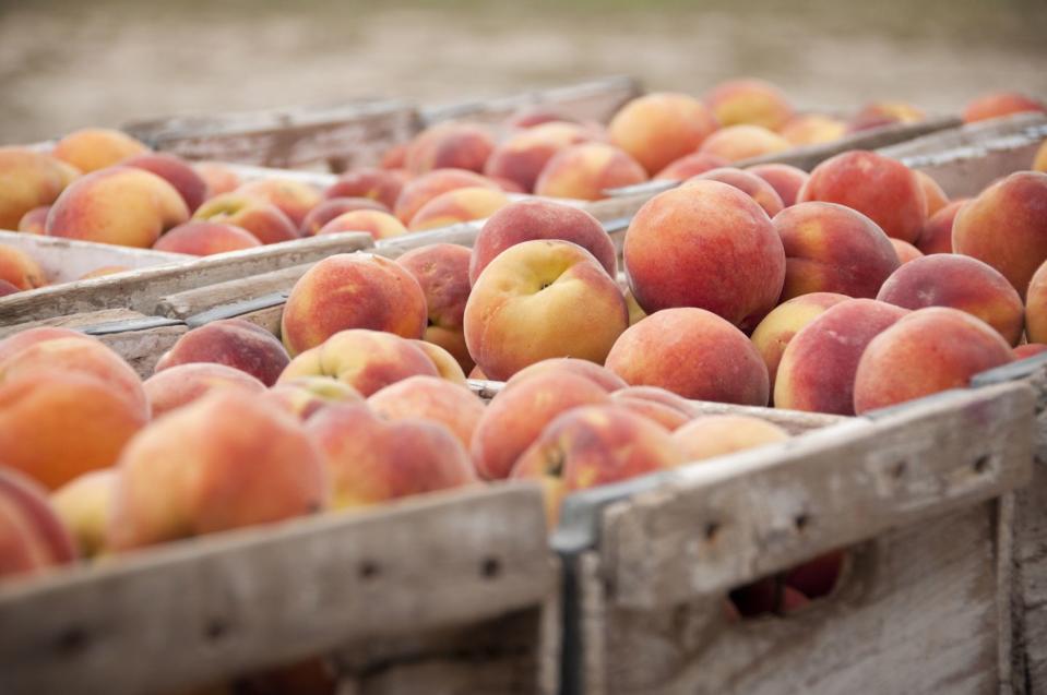 Stone Fruit Seeds and Apple Seeds