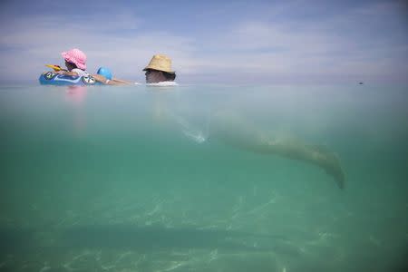 Retiree Madeline Barcelo swims at the beach with her granddaughter in Varadero, Cuba, August 26, 2015. REUTERS/Alexandre Meneghini