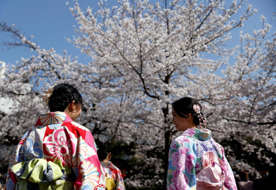 日本各民間氣象公司目前預測今年櫻花開花日仍有出入，東京被預測最快可能在3月17日左右開花。（路透社資料照）