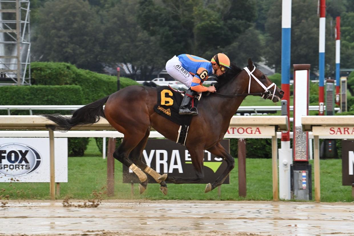 Fierceness, trained by Todd Pletcher and owned by Mike Repole, is among the early favorites for the 2024 Kentucky Derby.