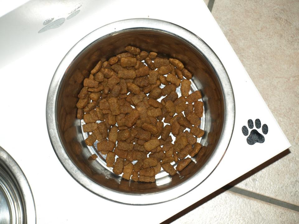 15 Quality Dry Dog Food Brands in the US