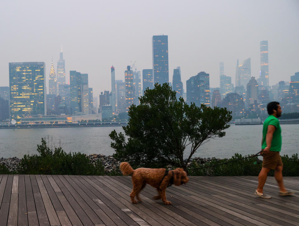 A man walks his dog on a boardwalk, with the skyline i the distance shrouded by polluted air.