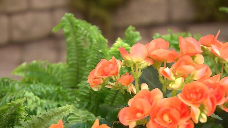 Assiniboine Park Conservatory nearing end of its life, slated to close permanently April 2