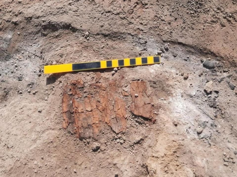 Wooden fragments found at the looted grave.