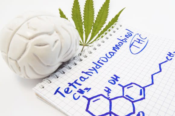 THC chemical structure drawn on notepad next to plastic model of human brain and a marijuana leaf