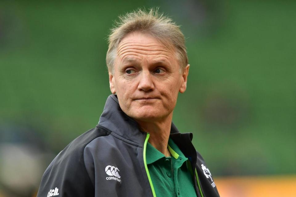 New Zealander Joe Schmidt is being tipped for the All Blacks job (Getty Images)