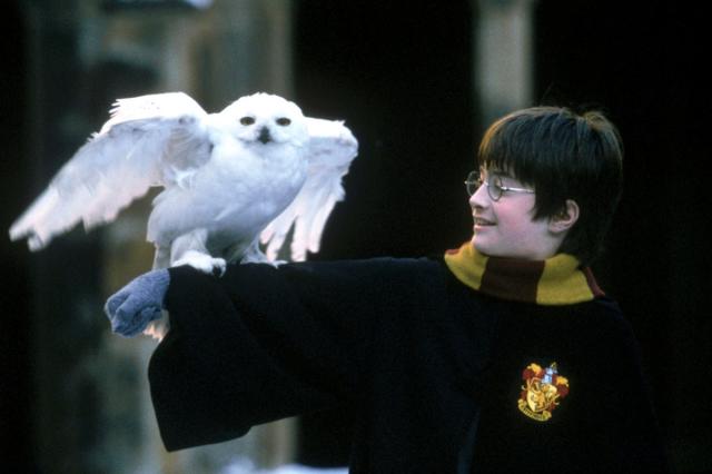 Harry Potter' series shot down by HBO Max, Warner Bros.
