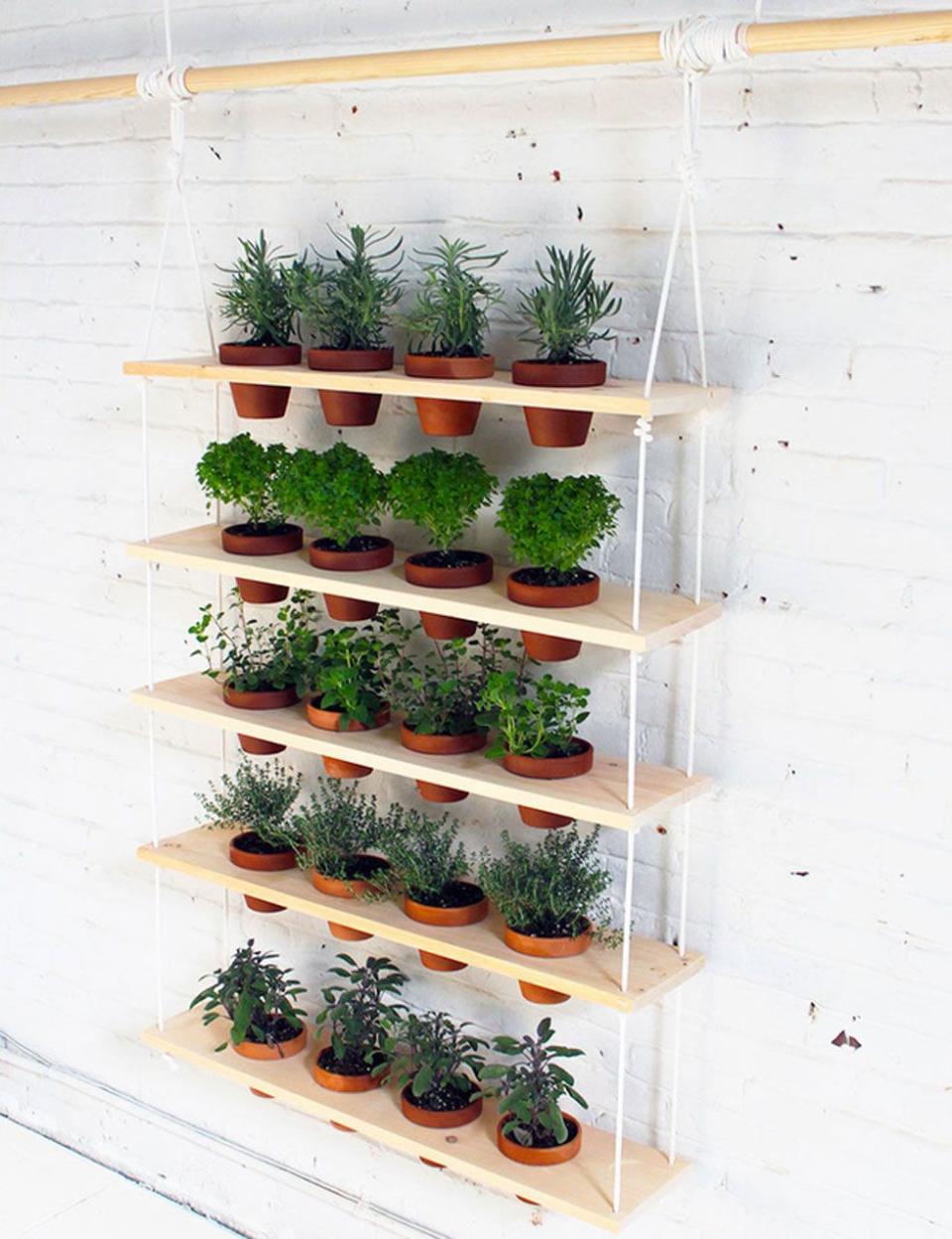 Hanging Planter