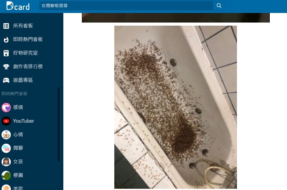 慎入！梅雨季飛蟻攻占民宅 浴缸網友看到雞皮疙瘩：我不行了