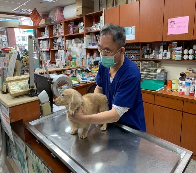 國人對於動物福利及動物醫療品質逐漸重視。    圖：新北市動保處提供