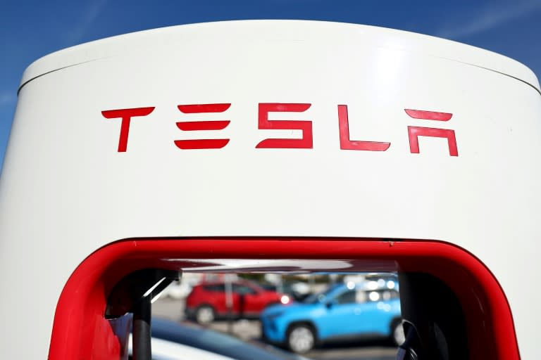 Der US-Elektrowagen-Konzern Tesla will im Sommer sein selbstfahrendes Robotaxi vorstellen. (MARIO TAMA)