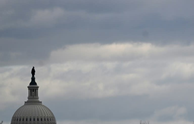 The dome of the US Capitol is seen on a cloudy day in Washington, DC in January 2024 (ANDREW CABALLERO-REYNOLDS)