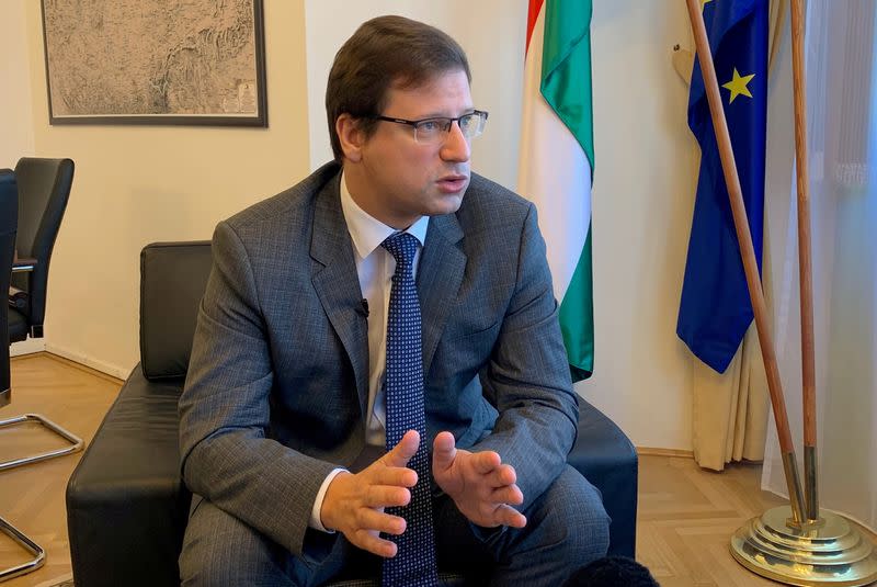 FILE PHOTO: Gergely Gulyas, Hungarian Prime Minister Viktor Orban’s chief of staff speaks during an interview in his office in Budapest