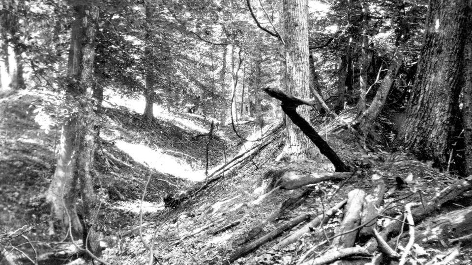 An undated photograph from the U.S. Geological Survey shows the landslide ditch and ridge resulting from the 1811-1812 New Madrid earthquakes in the Chickasaw Escarpment east of Reelfoot Lake in Tennessee.  - ML Fuller/US Geological Survey