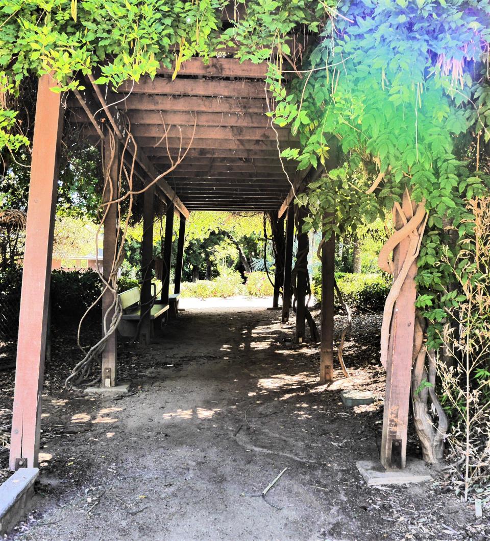 One of the covered paths Prospect Park