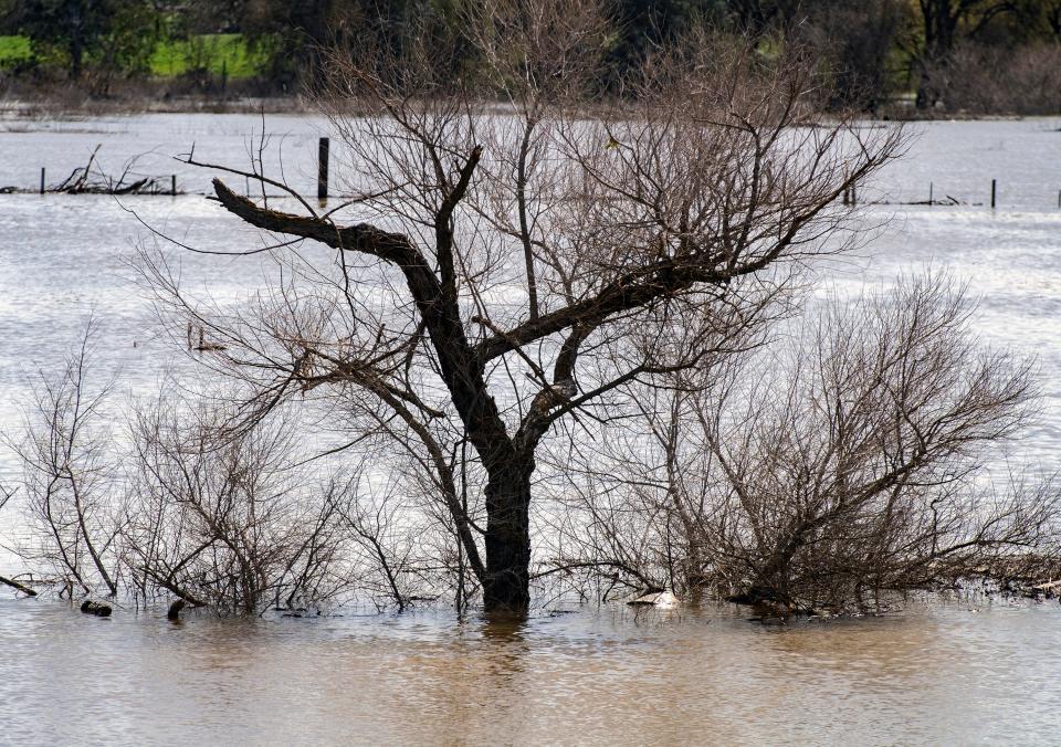 The water level on the San Joaquin River near Vernalis in south San Joaquin County is at flood stage on Friday, Mar. 17, 2023. The rivers is expected to reach danger stage by Saturday.