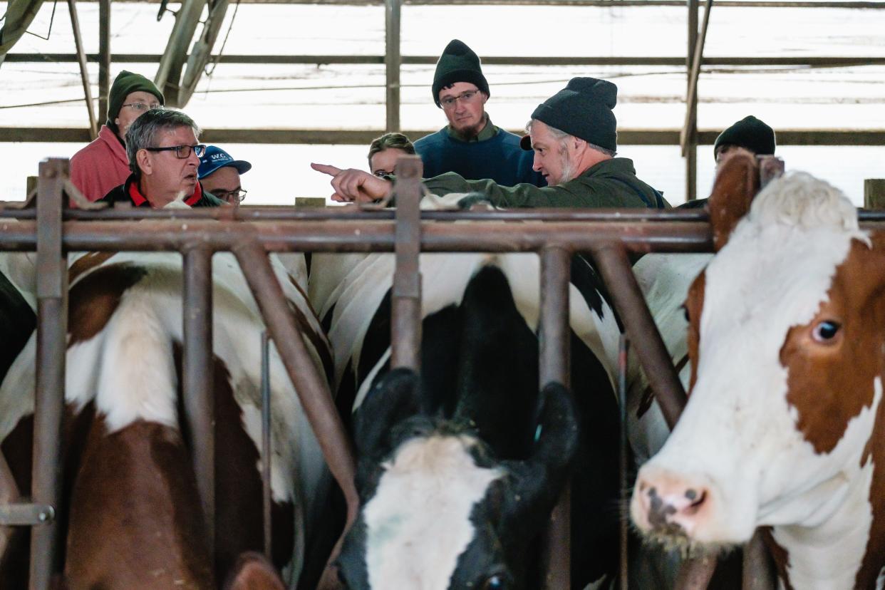 Lavern Schlabach, right, talks about hybrid cows during a tour of his D&S Dairy on Tuesday in Sugar Creek Township. His ProCROSS cows were showcased as part of a multi-farm tour geared toward dairy producers and employees.