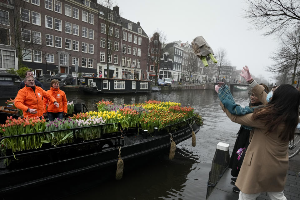 A woman with a face mask catches a free bouquet of tulips in Amsterdam, Netherlands, Saturday, Jan. 15, 2022. Stores across the Netherlands cautiously re-opened after weeks of coronavirus lockdown, and the Dutch capital's mood was further lightened by dashes of color in the form of thousands of free bunches of tulips handed out by growers sailing with a boat through the canals. (AP Photo/Peter Dejong)