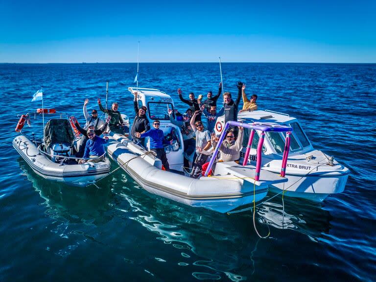 El equipo de científicos, documentalistas y buzos que están estudiando a la población de ballenas sei que reapareció en aguas patagónicas