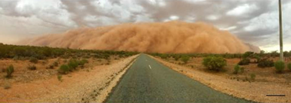 The cloud was spotted in full from Wilcannia Airport Road before it swept over the small town. Source: Lizzie Hunter