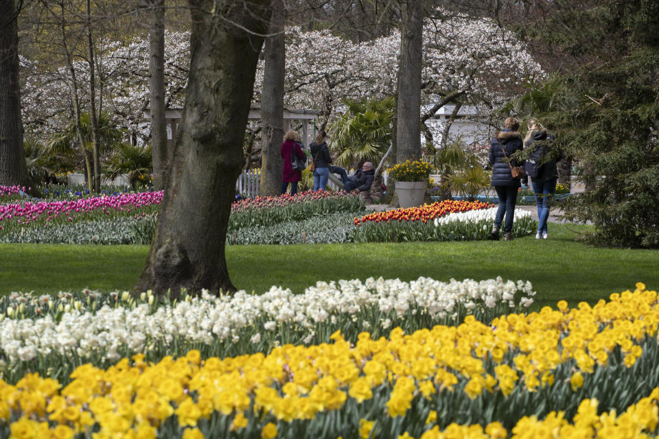 Far fewer visitors than normal are seen at the world-famous Keukenhof garden in Lisse, Netherlands, Friday, April 9, 2021. Finally, after month after bleak month of lockdown, there are springtime shoots of hope emerging for a relaxation of coronavirus restrictions at a Dutch flower garden and other public venues. Keukenhof nestled in the pancake flat bulb fields between Amsterdam and The Hague opened its gates Friday to a lucky 5,000 people who were allowed in only if they could show proof on a smartphone app that they had just tested negative for COVID-19. (AP Photo/Peter Dejong)