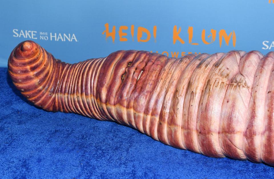 Heidi Klum lies down while dressed as a worm for her Halloween bash.