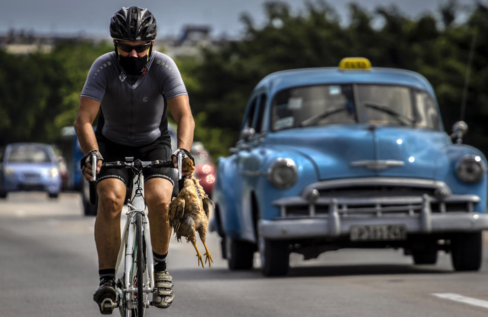 Un ciclista con máscara como medida de precaución contra la propagación del nuevo coronavirus lleva un pollo en la mano mientras pedalea su bicicleta en La Habana, Cuba, el domingo 11 de octubre de 2020. (AP Foto/Ramón Espinosa)