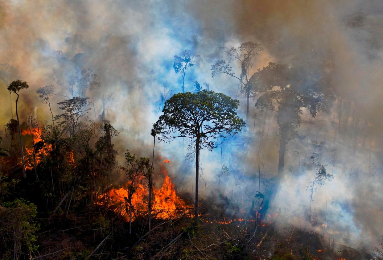 <p>There were a record number of fires in the Amazon last summer</p> (AFP via Getty Images)
