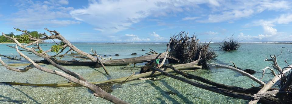 Coral islands are contracting, causing habitat loss in the Solomon I <strong>re: photo, any other attribution?</strong>slands. Simon Albert