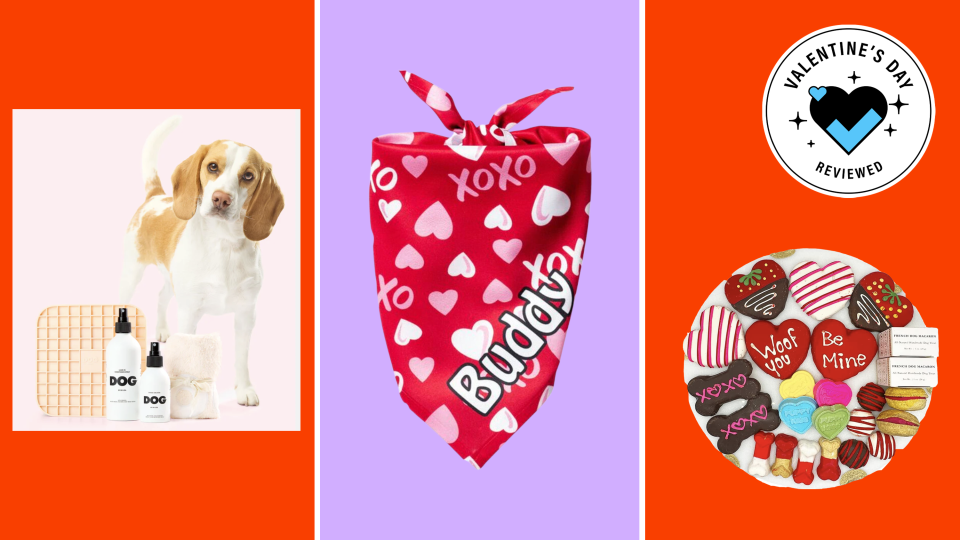 Our staff picks the best gifts for your pet for Valentine's Day 2023.