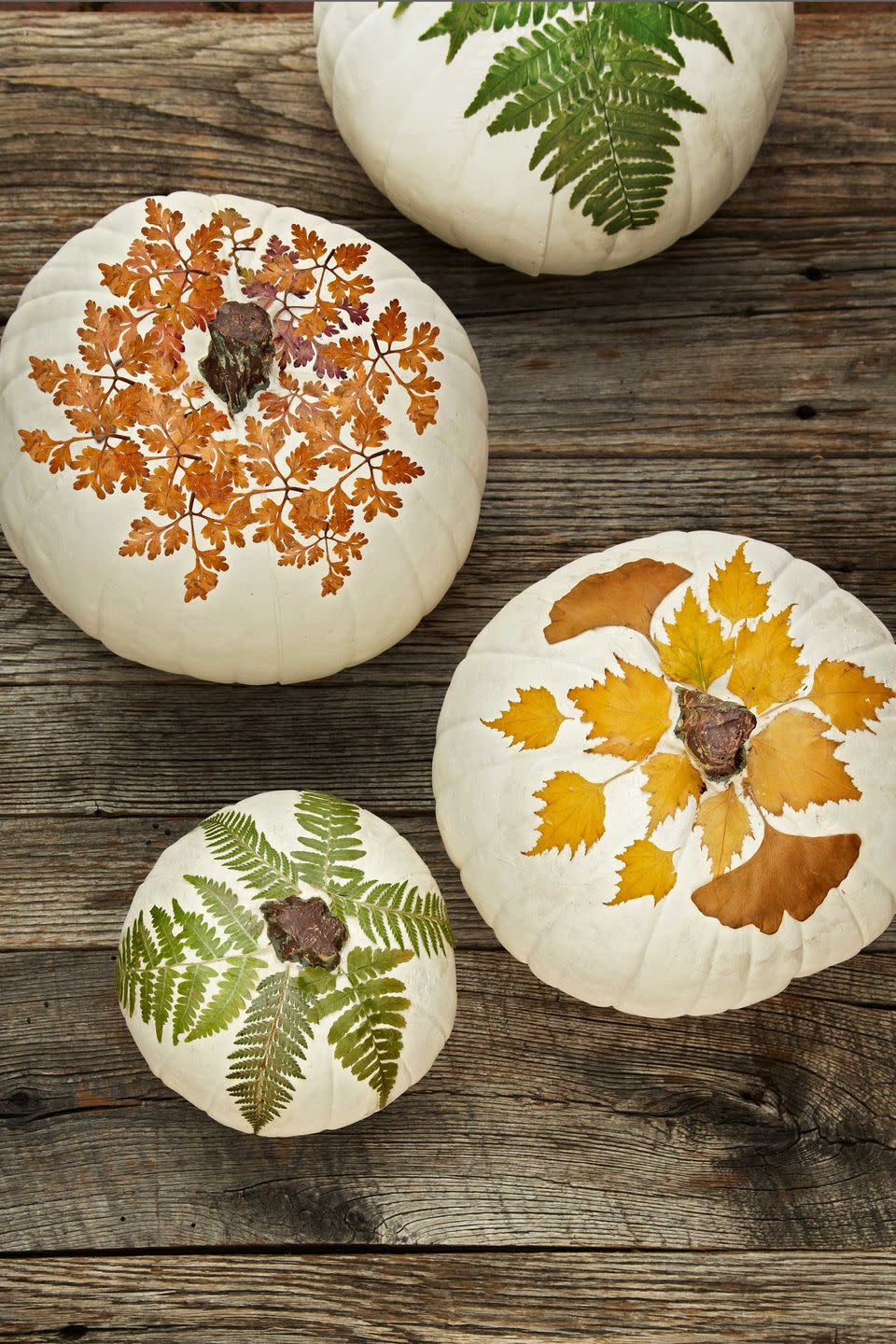 Foliaged Pumpkins