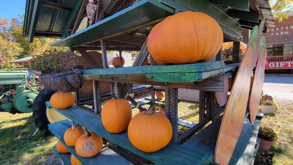 Located at 3748 Chimney Rock Road, Coston Farm and Apple House offers a wide variety of apples and now pumpkins.