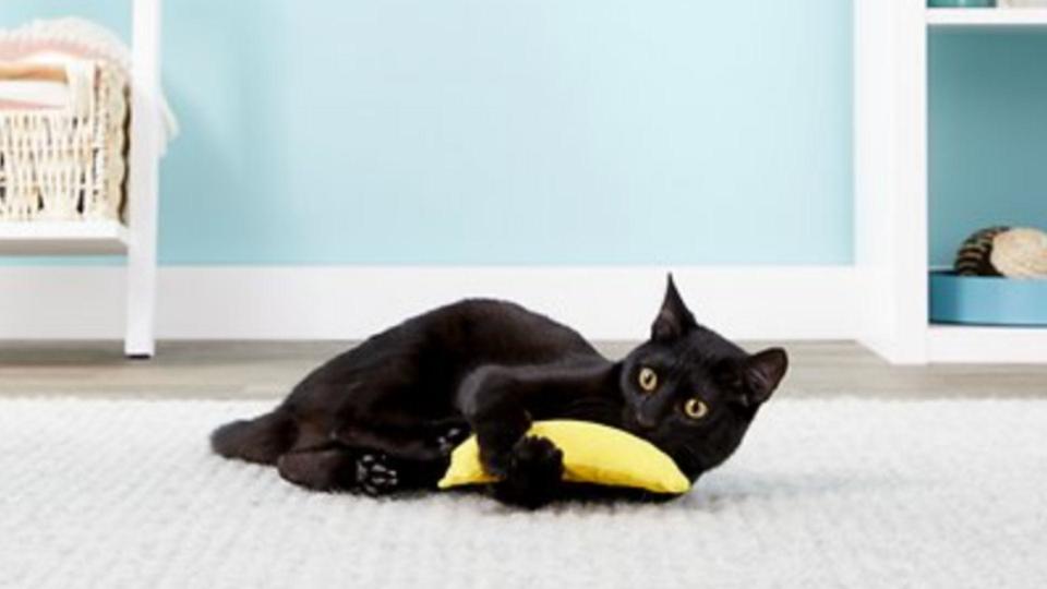 Best cat gifts: Yeowww! catnip yellow banana toy