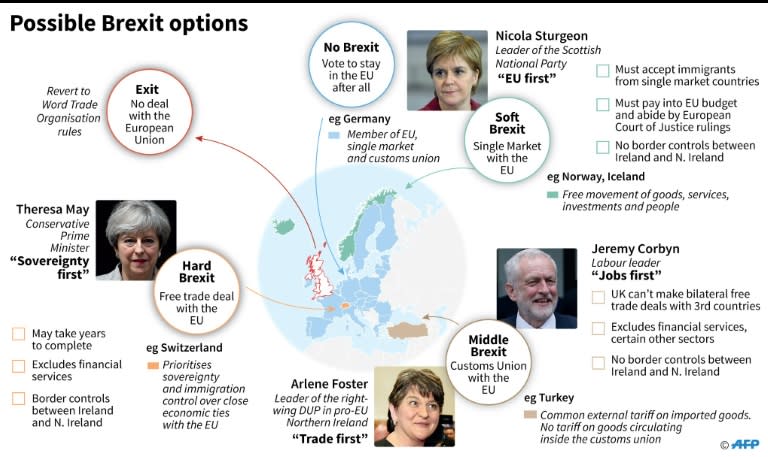 Possible Brexit options