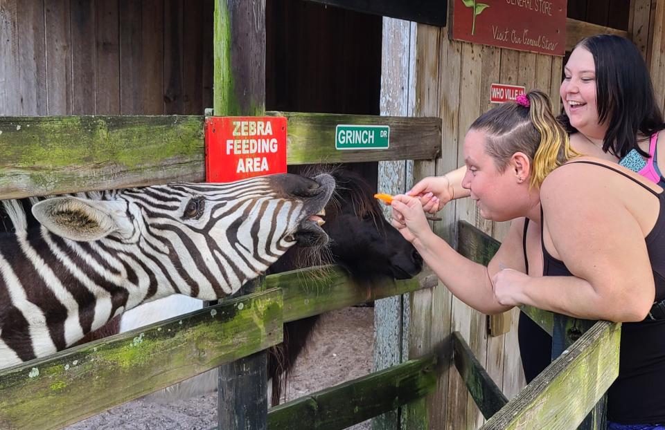 Chantale Dawn Thompson, 37, and her daughter Destiny Bradfield, 19, of Vero Lake Estates, feed a zebra and a miniature horse at LaPorte Farms in Sebastian. Chantale said she’s been taking her three kids there since Destiny was 3 years old.