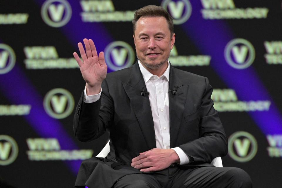 Elon Musk, who acquired Twitter in November, has been accused of not doing enough to moderate the social network, such as preventing misinformation and fraud (AFP via Getty Images)