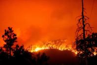 <p>Les flammes du Windy Fire dans la forêt nationale de Sequoia.</p>