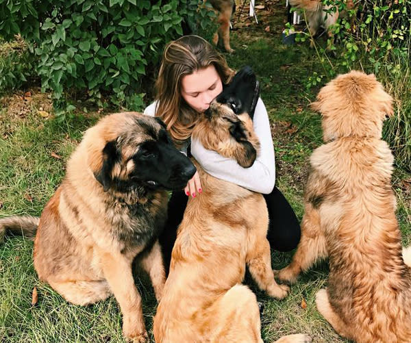 <p>Camille Gottlieb a hérité de sa mère son amour des animaux. Elle possède cinq chiens de la race Leonberg.<br> Crédit photo : Instagram Camille Gottlieb </p>