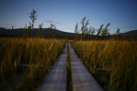 Walkways made from wooden planks are seen across an area of marshland at a research post at Stordalen Mire near Abisko