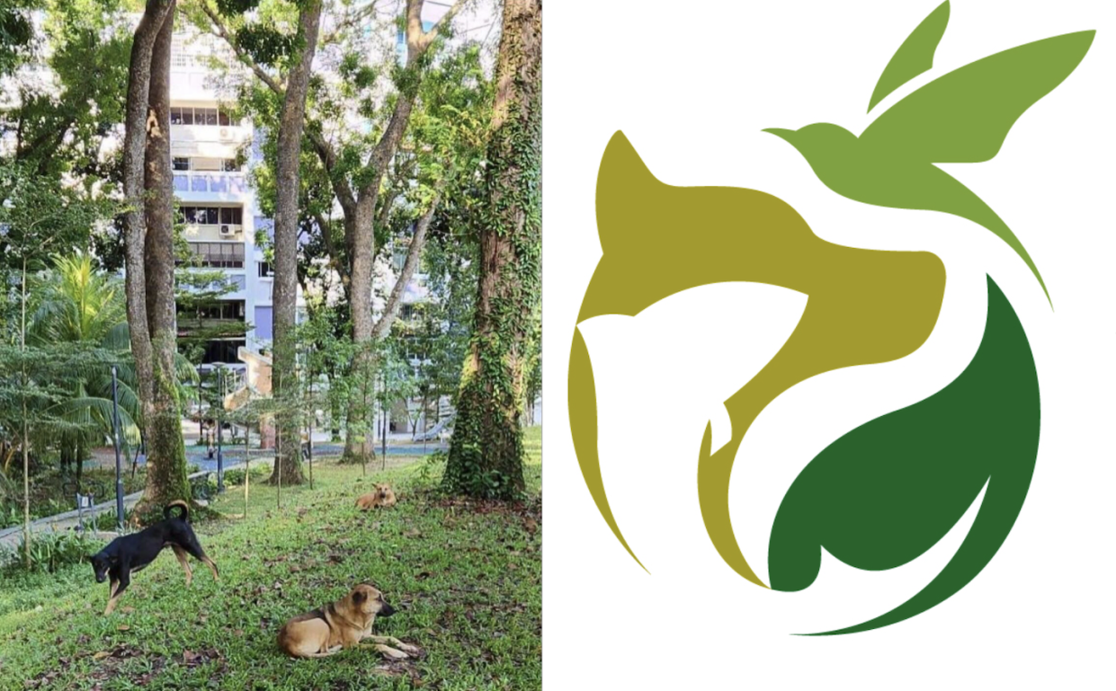 Pack of stray dogs in Toa Payoh (left) and AVS logo (right) (Photo: Yahoo reader/AVS)