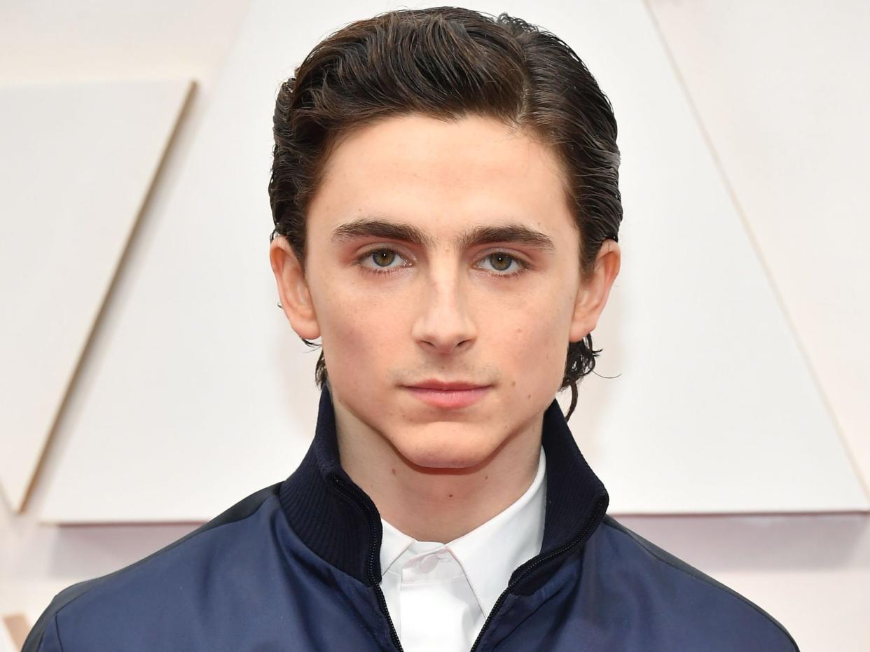 timothee chalamet