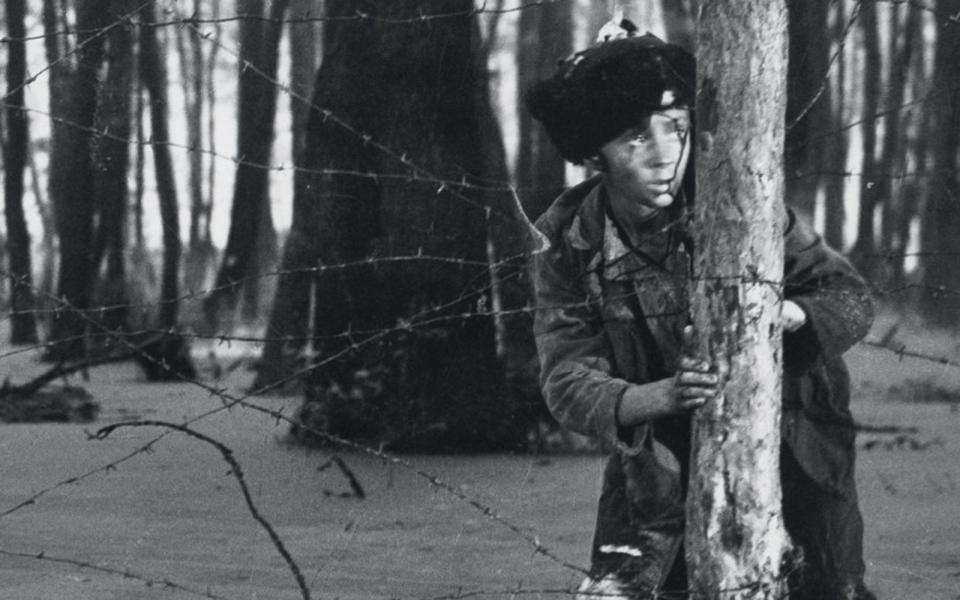 Ein poetischer Film über die Schrecken des Krieges - das gelang dem russischen Regisseur Andrei Tarkowski 1962 mit seinem Debüt "Iwans Kindheit". Der Film, der in Venedig mit dem Goldenen Löwen ausgezeichnet wurde, erzählt die Geschichte eines Jungen, der im Zweiten Weltkrieg als Kundschafter der Roten Armee zwischen den Fronten aufwachsen muss. (Bild: Kairosfilm)