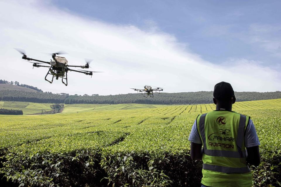 Providing farmers with information and technology that can increase their resource efficiency are common themes in agriculture innovation. <a href="https://www.gettyimages.com/detail/news-photo/kenya-airways-employee-controls-an-unmanned-aerial-vehicle-news-photo/1244138316" rel="nofollow noopener" target="_blank" data-ylk="slk:Patrick Meinhardt/AFP via Getty Images;elm:context_link;itc:0;sec:content-canvas" class="link ">Patrick Meinhardt/AFP via Getty Images</a>