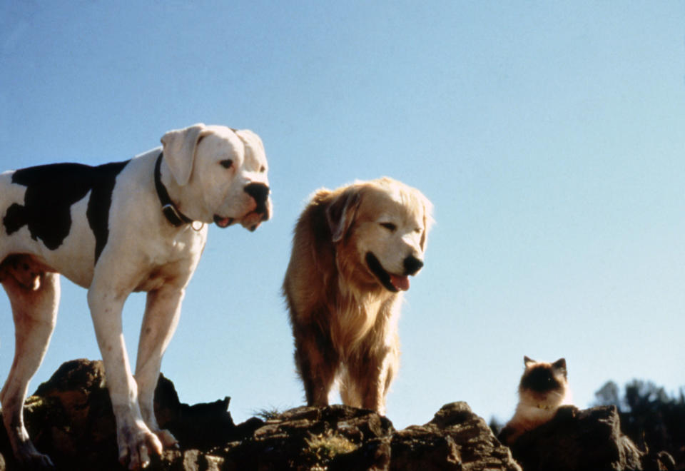 HOMEWARD BOUND: THE INCREDIBLE JOURNEY (1993)