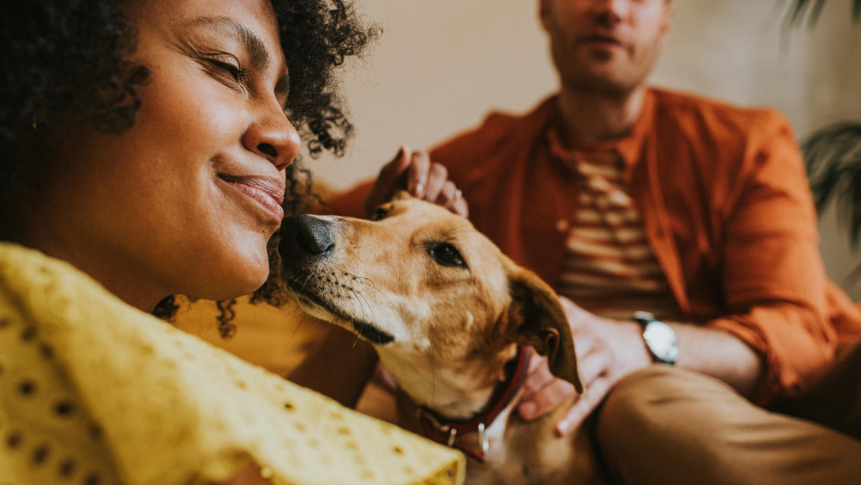  Dog sniffing woman's face 