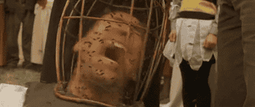 Scene from "The Wicker Man" showing Nicolas Cage in a bee cage headgear, surrounded by bees