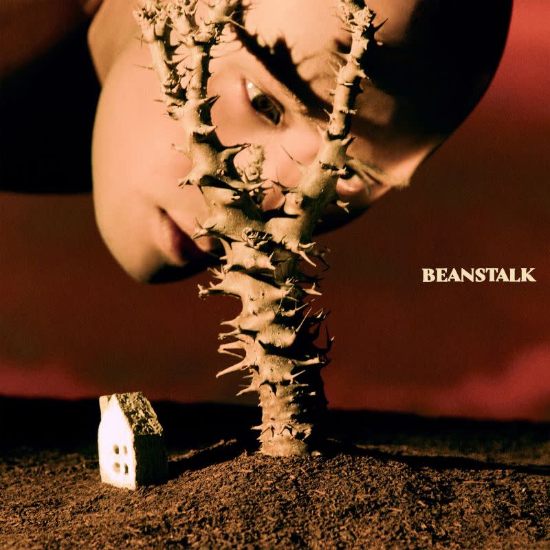 ▲YELLOW黃宣《BEANSTALK》。（圖／Hit Fm聯播網提供）