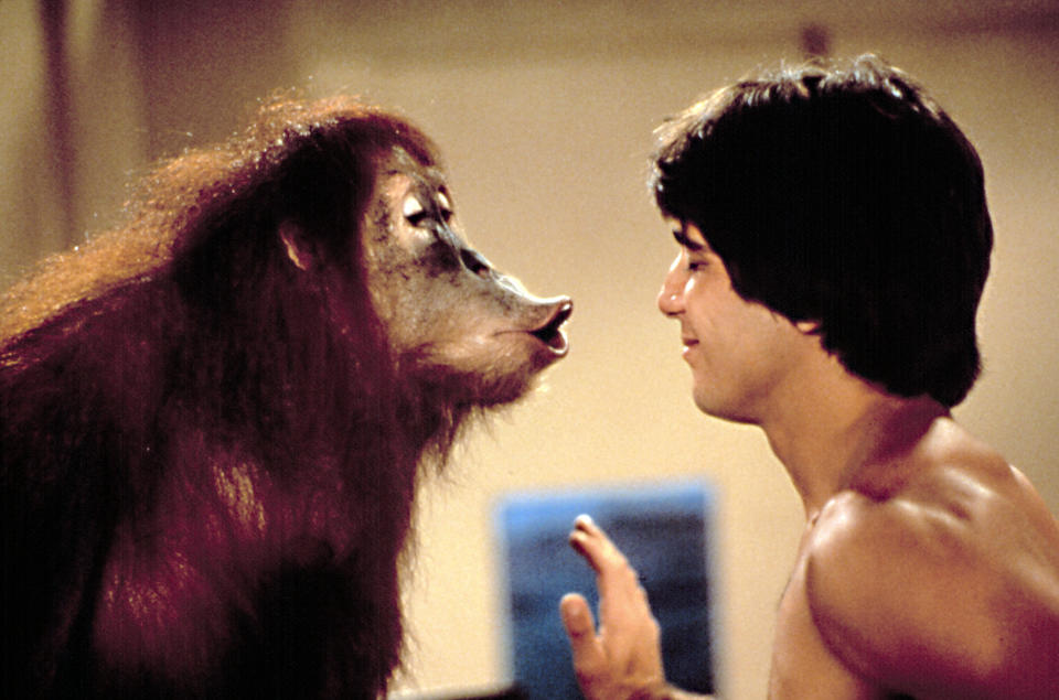 GOING APE!, Tony Danza, & an orangutan, 1981. ©Paramount Pictures/ Courtesy: Everett Collection.